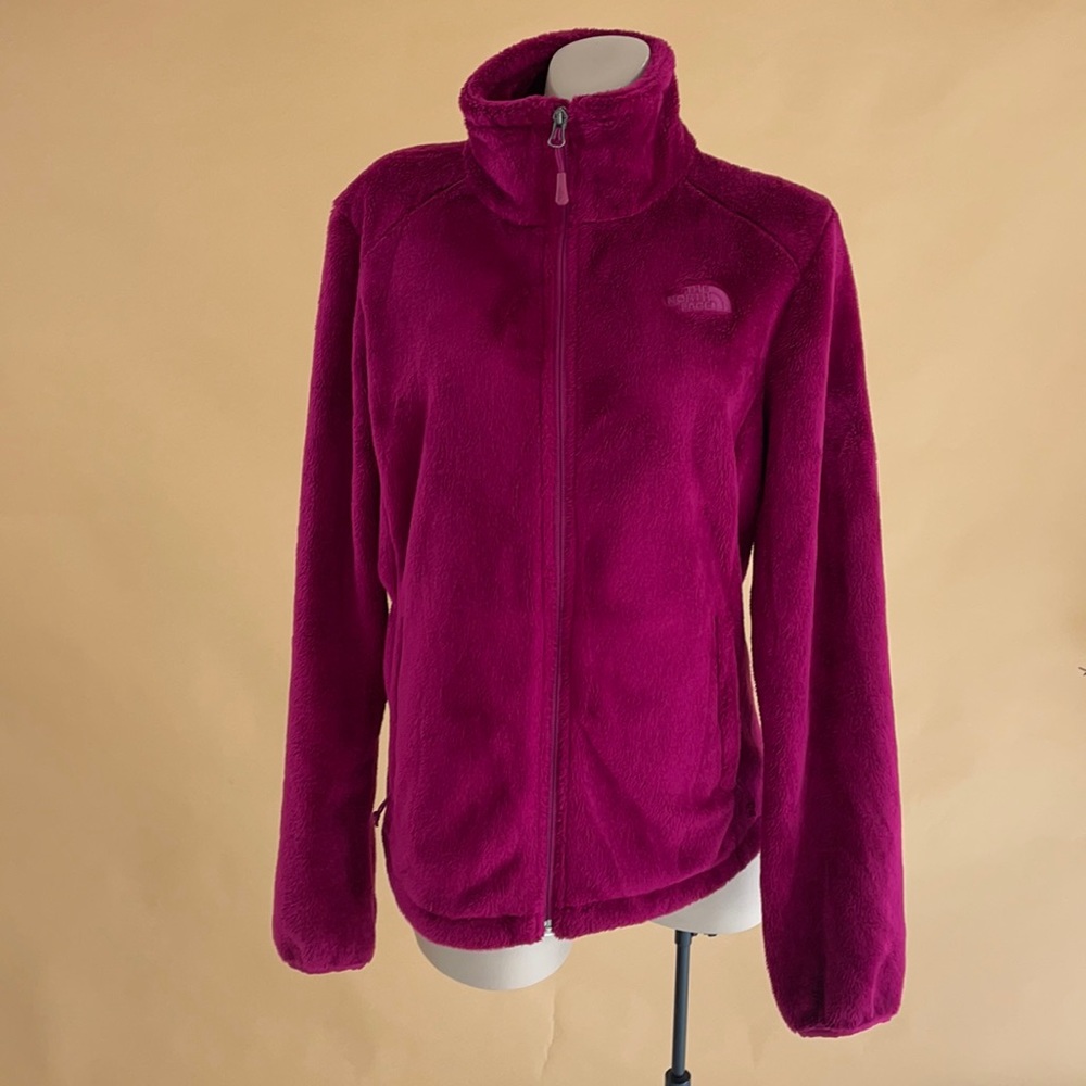 Burgundy Fuzzy North Face Jacket
